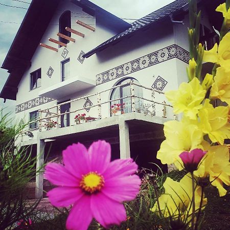 Вилла Casa Aureliana Ciocanesti Экстерьер фото