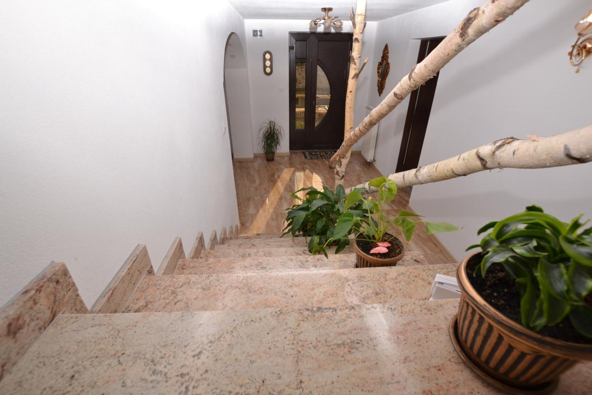 Вилла Casa Aureliana Ciocanesti Экстерьер фото